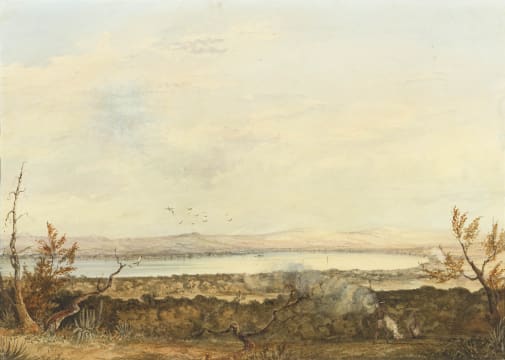 Thomas Bowler; Natal from Berea Looking Eastwards