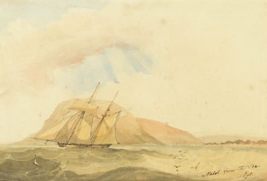 Thomas Bowler; Natal from the Sea