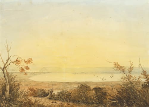 Thomas Bowler; Natal from Berea