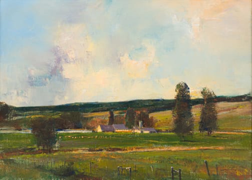Errol Boyley; Natal Midlands