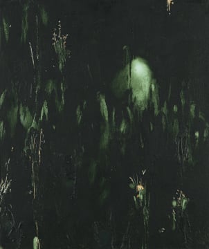 Jake Aikman; Night Blooms I