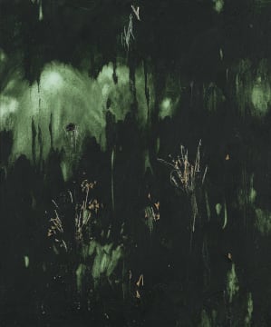 Jake Aikman; Night Blooms II