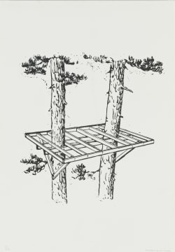 Zander Blom; Untitled (Tree Trunks and Structure)