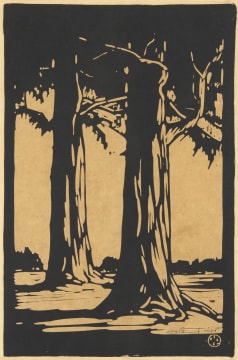 Jacob Hendrik Pierneef; Bloekom Bome