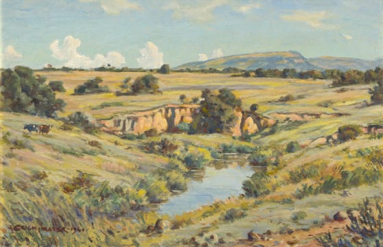 Erich Mayer; Spruit in die Waterberg (Ravine in the Waterberg)