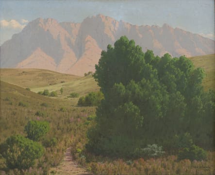 Jan Ernst Abraham Volschenk; A Luxuriant Veld Bush. Swellendam