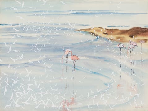 Richard Cheales; Flamingos