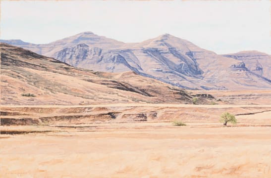 Sipho Ndlovu; Mountain View
