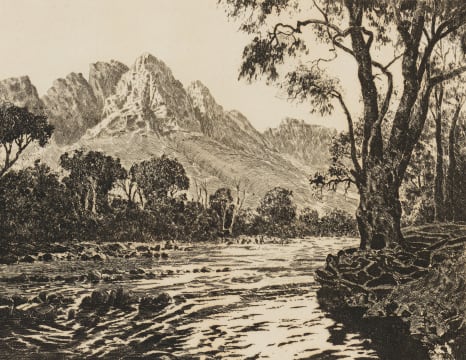 Tinus de Jongh; Jonkershoek Stellenbosch, Cape