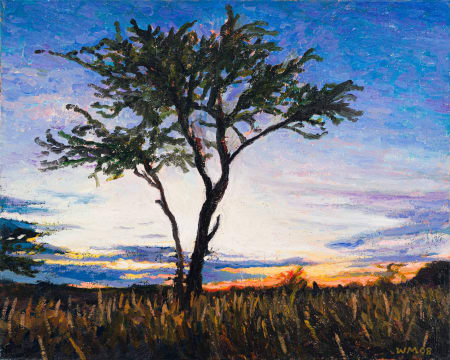 Walter Meyer; Sometimes