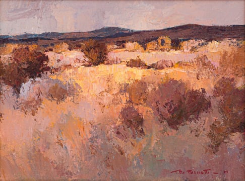 Titta Fasciotti; Karoo Winter Landscape
