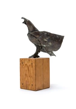 Rhona Stern; Falcon