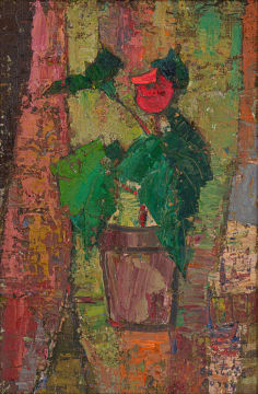 Barbara Grace Burry; Flowering Pot Plant