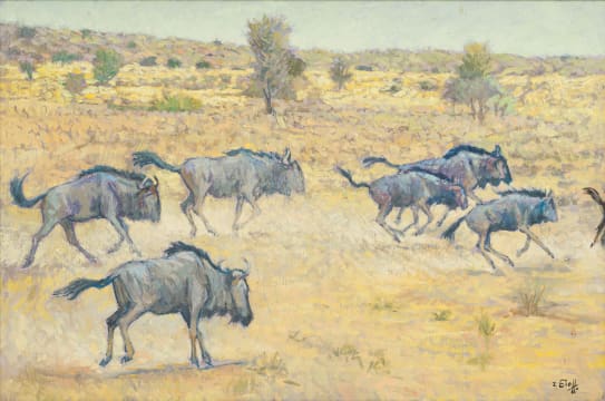 Zakkie Eloff; Galloping Wildebeest