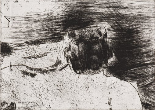 Robert Hodgins; In the Mountains
