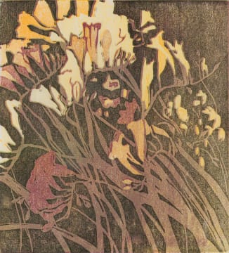 Alice Goldin; Freesias