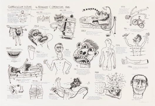 Norman Catherine; Curriculum Vitae