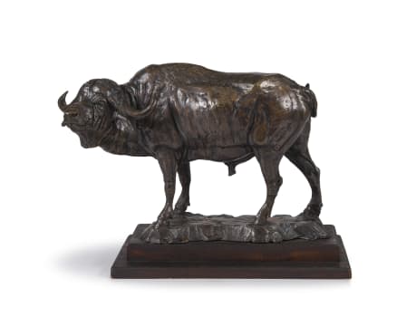 Arend Eloff; Buffalo