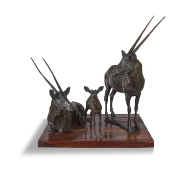 Arend Eloff; Family of Gemsbok