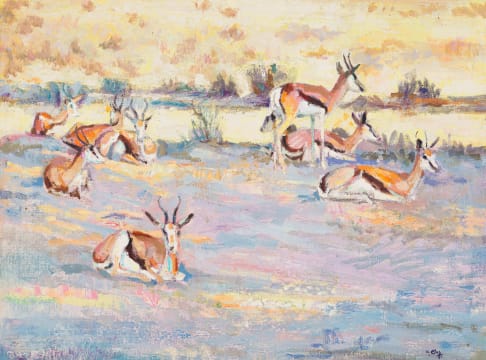 Zakkie Eloff; Springbok