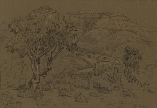 Nils Andersen; Trees in a Landscape