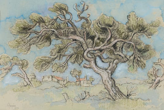 Gregoire Boonzaier; Windverwaaide Boom, Kenilworth