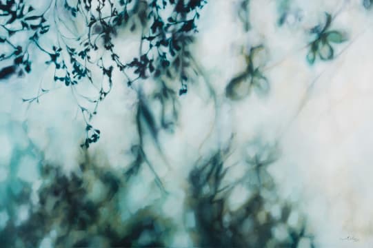 Ingrid Uys; Blurry Leaves