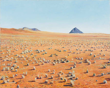 Walter Meyer; Namib