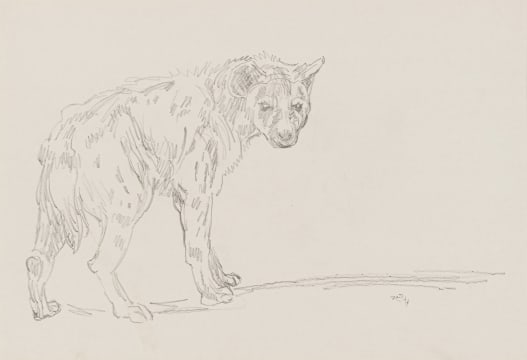 Zakkie Eloff; Hyena