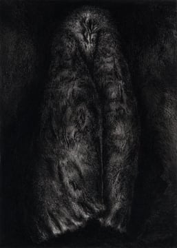 Rosemarie Mariott; Moth