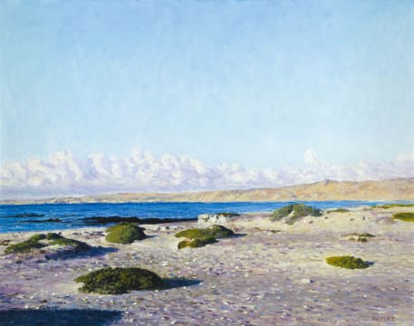 Walter Meyer; Stormvogelbucht, Lüderitz