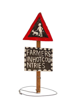 Fanlo (Chicken Man) Mkhize; Farmers in Hot Countries