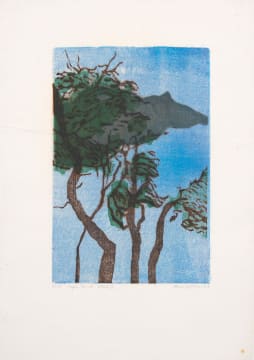 Alice Goldin; Cape Point State II