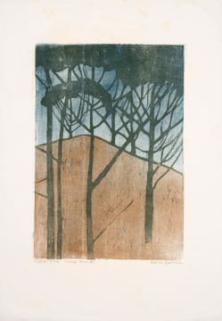 Alice Goldin; Kloof Nek