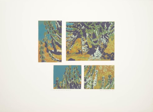 Alice Goldin; Euphorbia State I