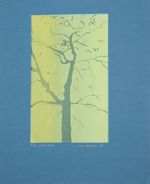 Alice Goldin; Yellow Haze