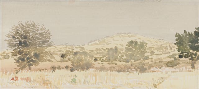 Adolph Jentsch; S W Afrika