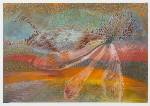 Sara Abbott; Damsel Fly, Rolling Hills, Stanford