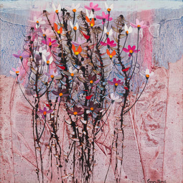 George Boys; Cosmos