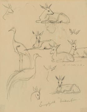 Erich Mayer; Duiker