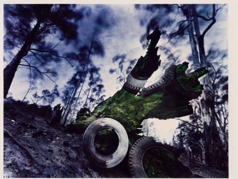 Obie Oberholzer; Tree Stump with Tyres