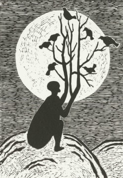 Peter Schütz; A Bird Amongst Birds