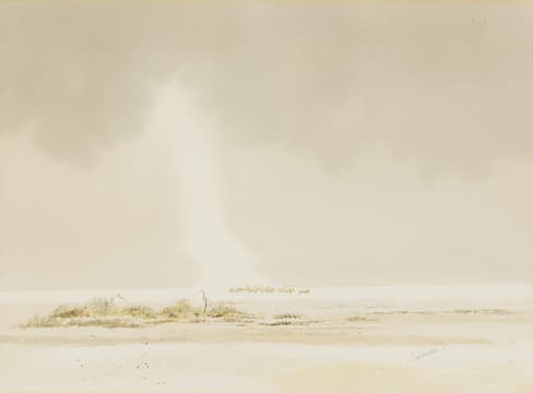 Kim Donaldson; Wildlife Landscape