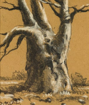 Otto Klar; Baobab