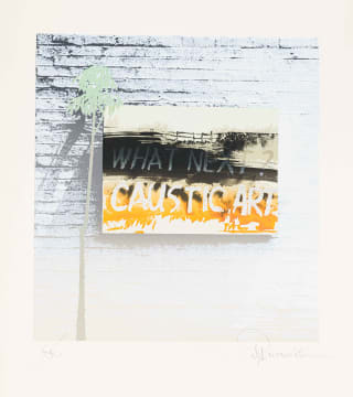 Nils Burwitz; What Next? Caustic Art, Heads or Tails portfolio