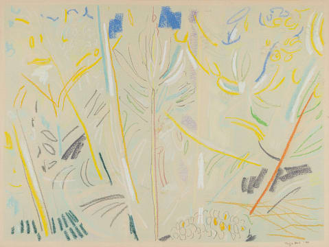 Thijs Nel; Botanical Abstract