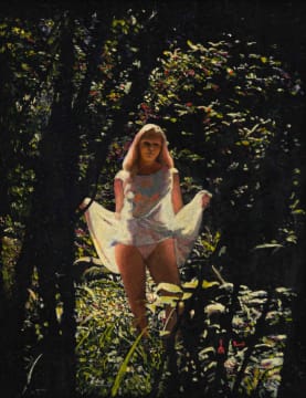 James Mooney; Papillon (Butterfly)