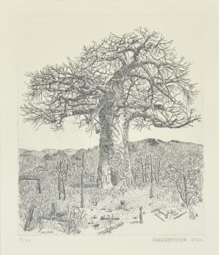 Anton Kannemeyer; Baoabab Tree, Pafuri
