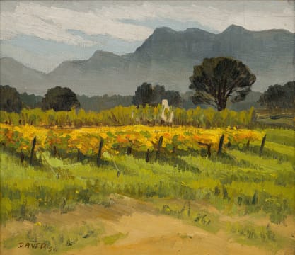 David Botha; Farm Landscape