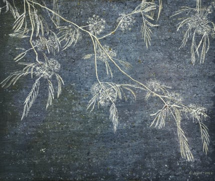 Rosemary Joynt; Garden Galaxies